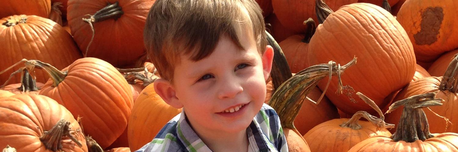 Kimberly Beaver banner