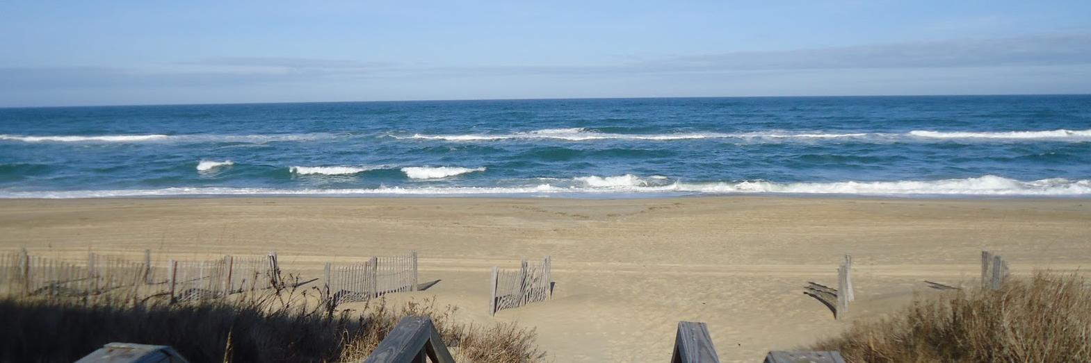 Beach Masters banner