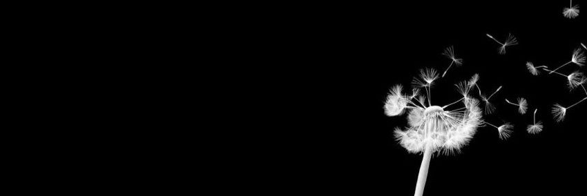 yonoquierolikes's profile banner image
