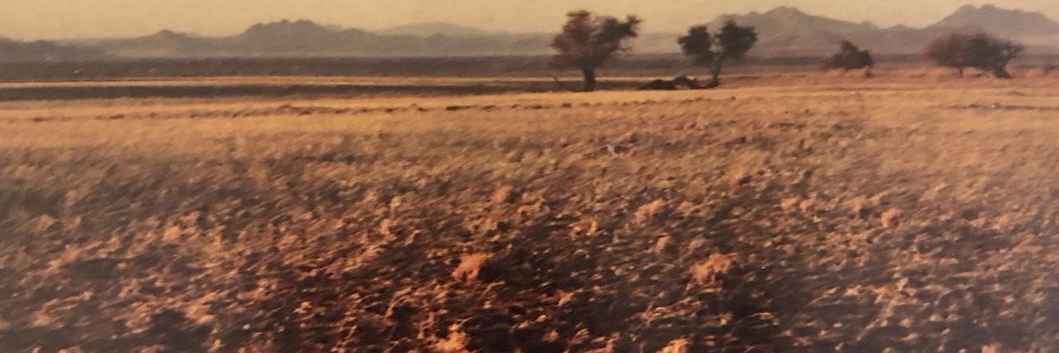 Loma__SOL's profile banner image