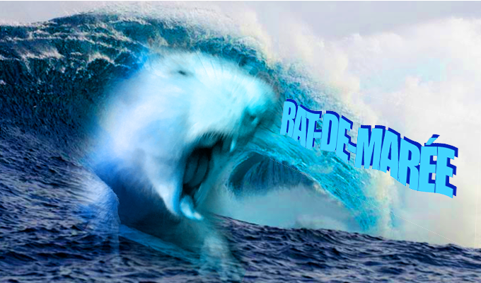 rat_de_maree's profile banner image