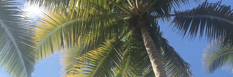 alexxopaige's profile banner image