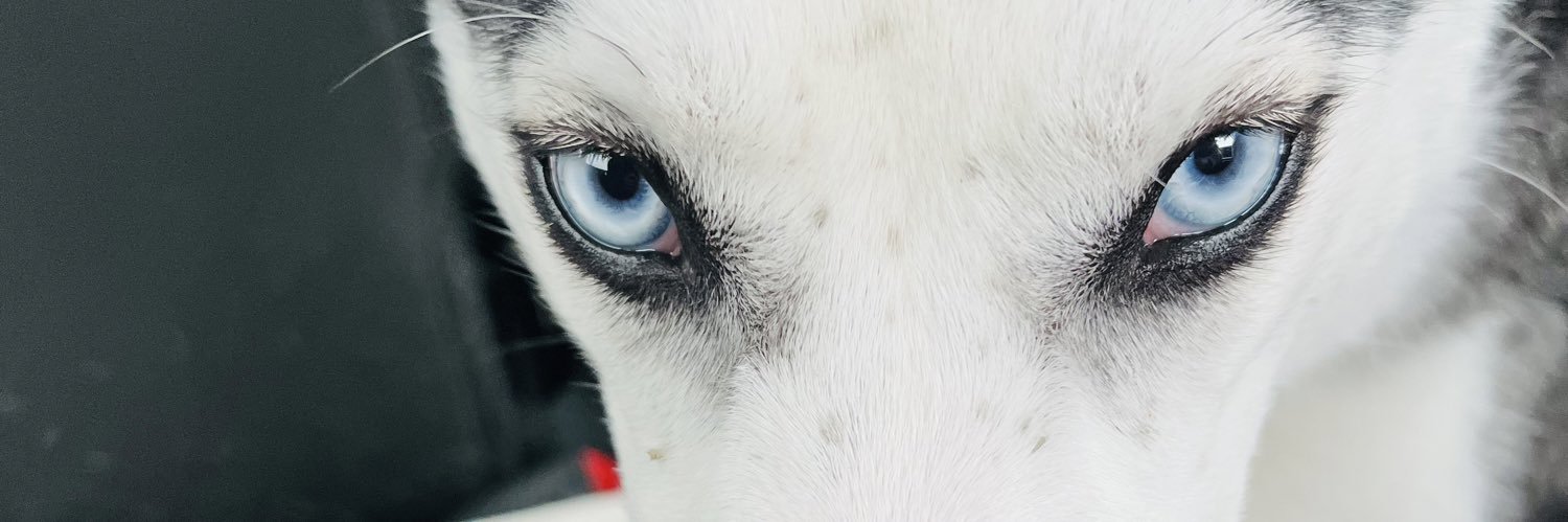 griffy303's profile banner image