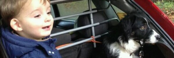 mwillsy1980 Profile Banner