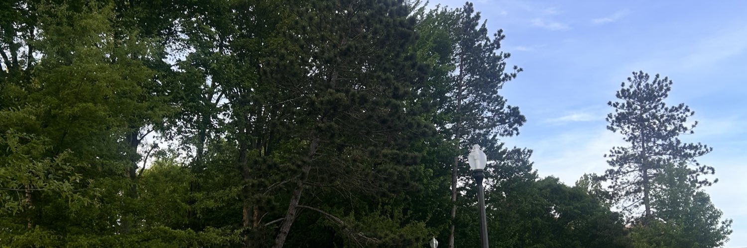 bellagibbss's profile banner image