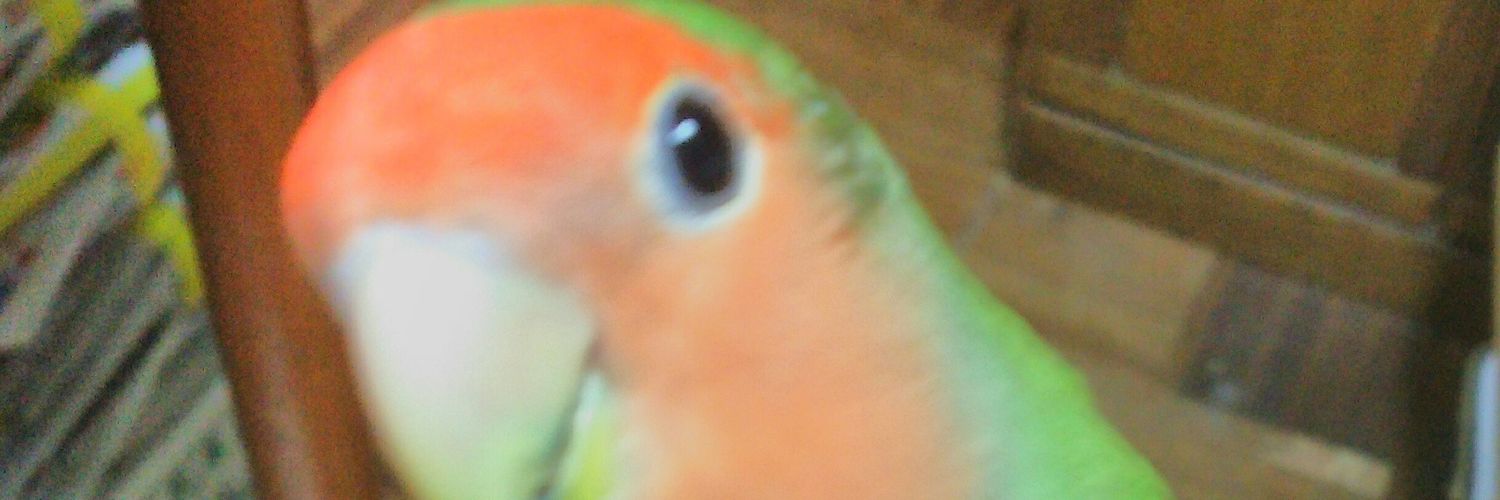 toppoty24's profile banner image