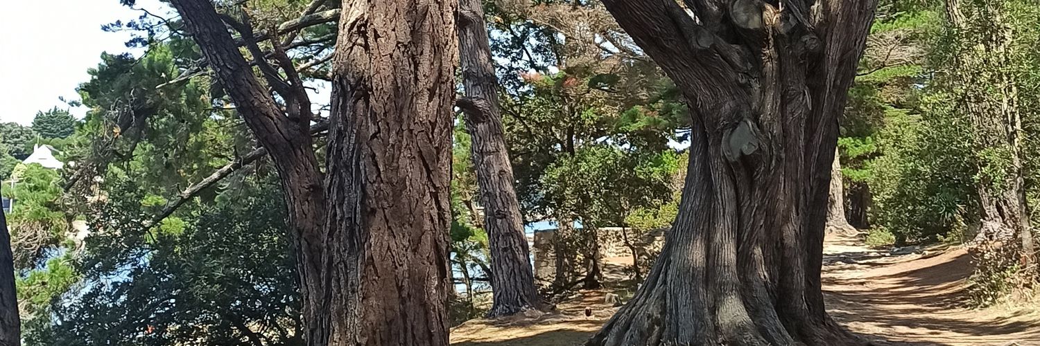 lydie_prr's profile banner image