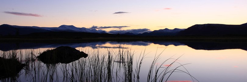 FreduJansson's profile banner image