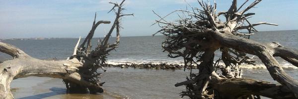 APiede_SOLTECH Profile Banner