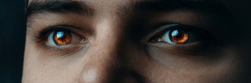 MichaelFlani's profile banner image