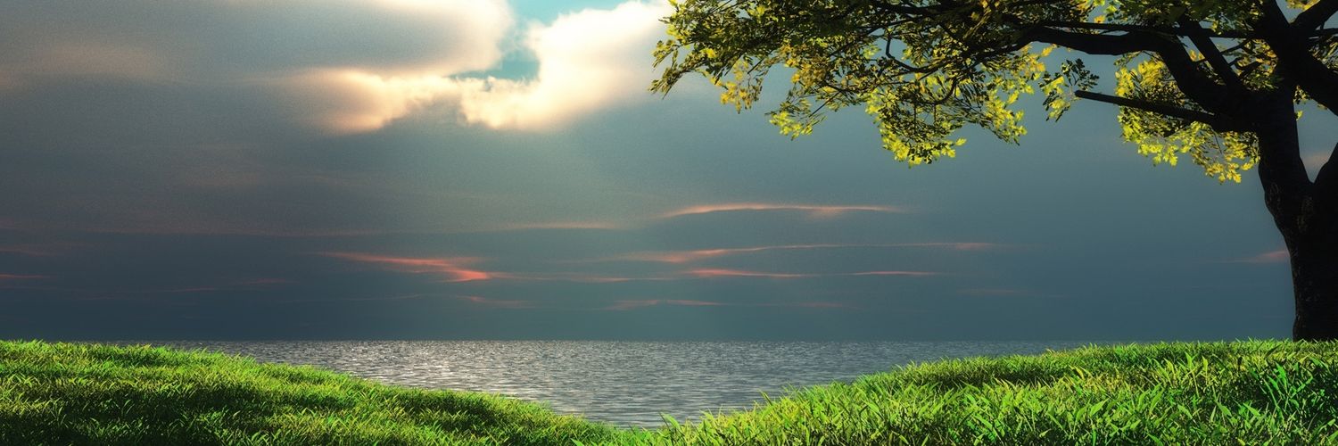 tesfish17's profile banner image