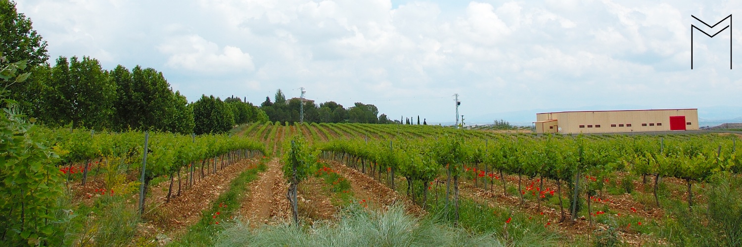 MonteOdina's profile banner image