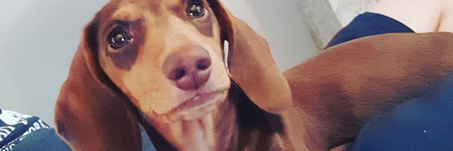 Adam James Price banner