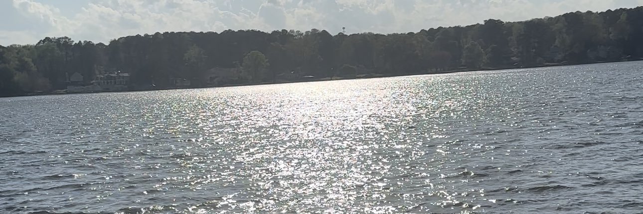 TaylorNOSwift's profile banner image