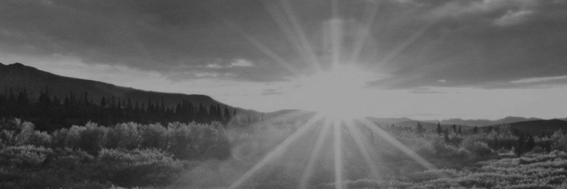 sunBrising's profile banner image