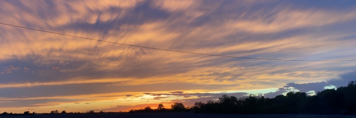 savannah_mchugh's profile banner image