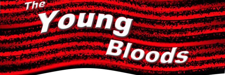 Saffron Walden Town banner