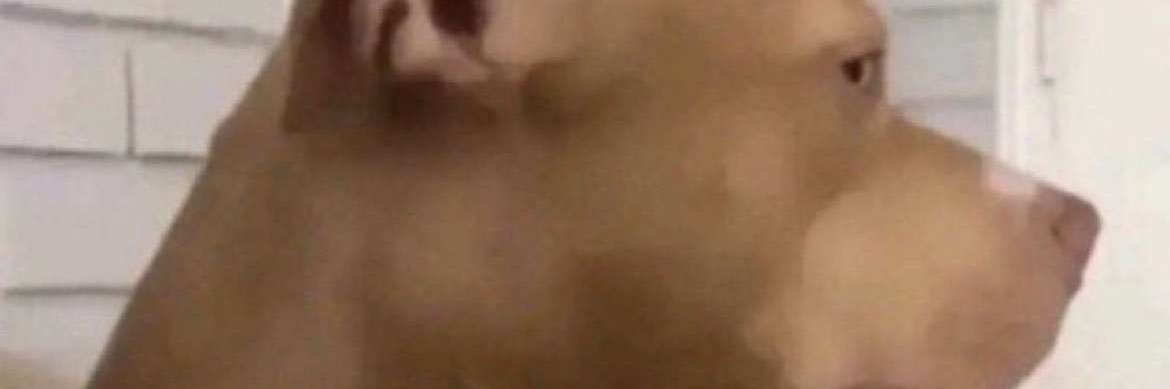 mattsmiddy_'s profile banner image