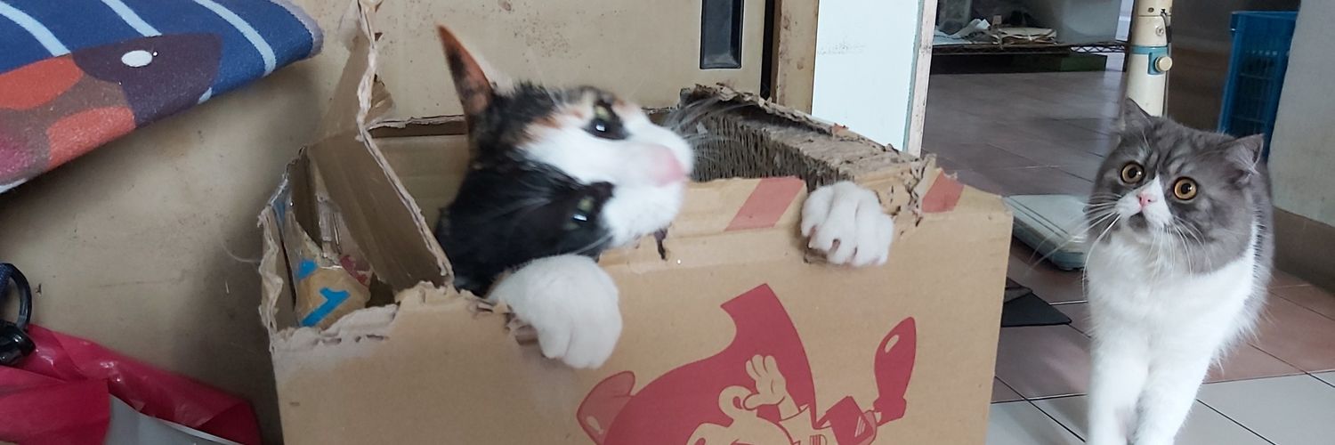 ミヌエットドゥドゥ王子様👑と三毛猫ハナ姫様👑の執事 🇺🇸 & 🇹🇼 banner