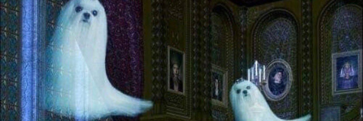 nerlunar's profile banner image