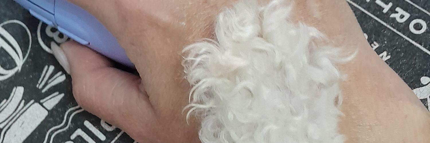 debbycdb's profile banner image