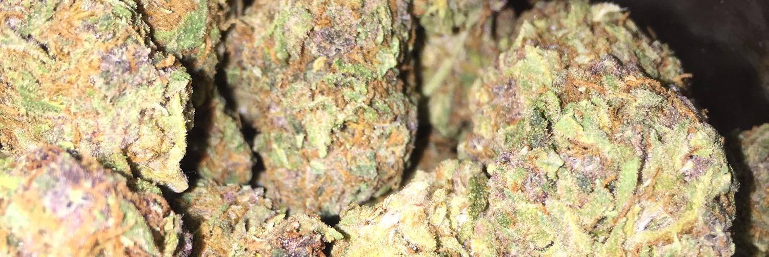 KushSweets's profile banner image
