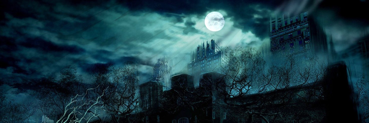 Robot Chicken banner