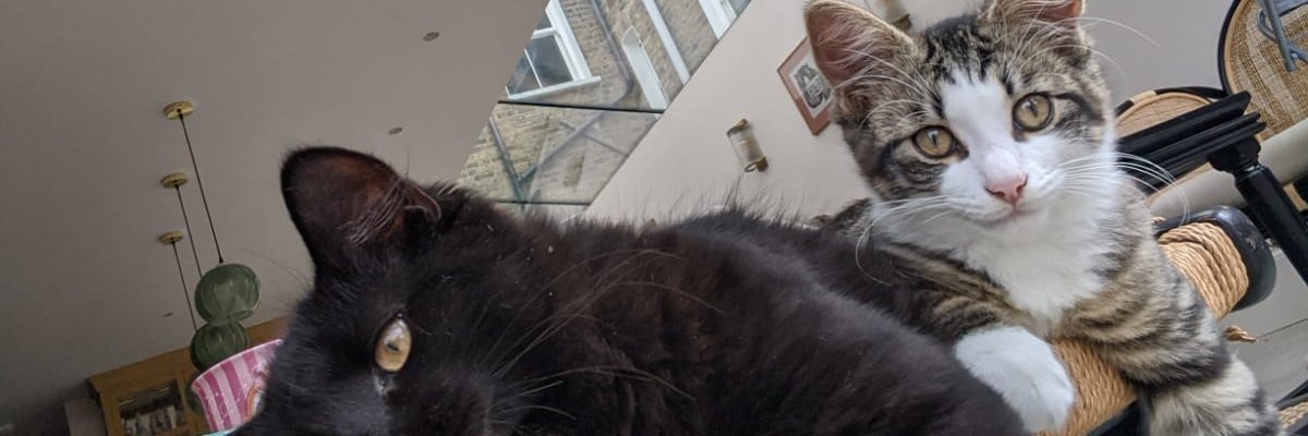 Jeremy Thomson-Cook banner