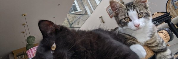 JThomsonCook Profile Banner