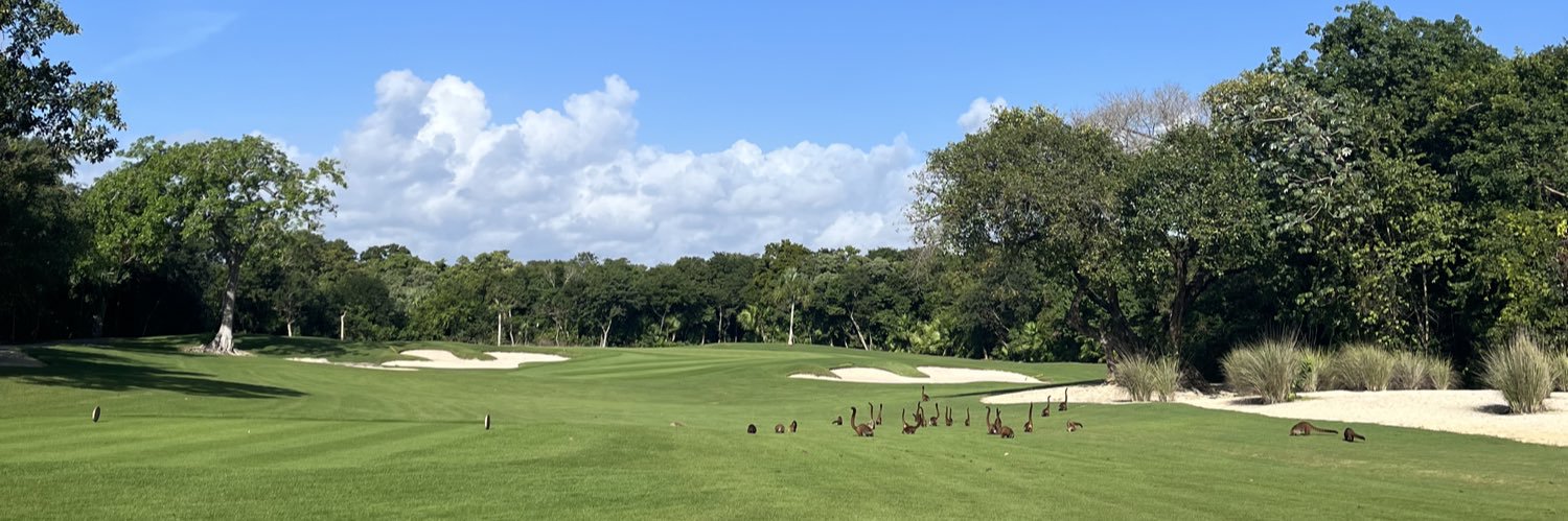 adrianbarrazas's profile banner image
