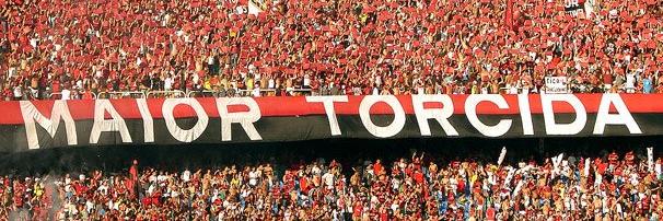 Jones Silva banner