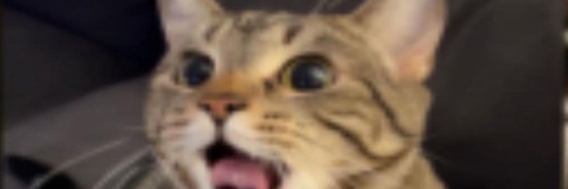 Hunter_R1ch's profile banner image