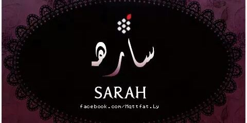 SaroSkater's profile banner image
