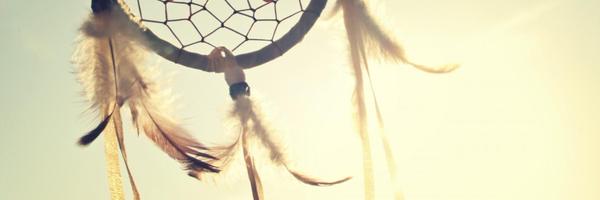 DrMushquash Profile Banner