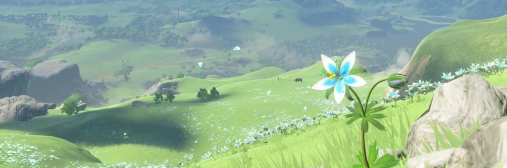 tgohl03's profile banner image