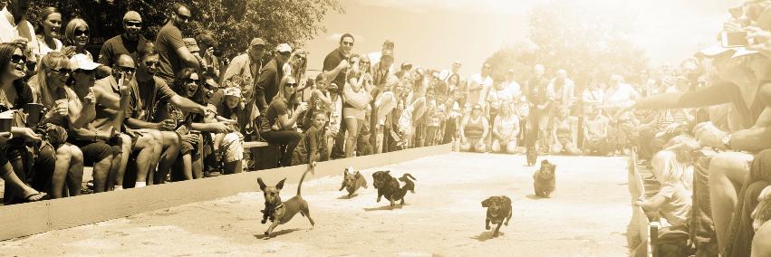 bigbeaverbrew's profile banner image
