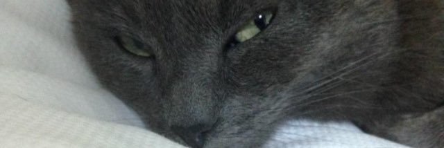 BBrigati's profile banner image