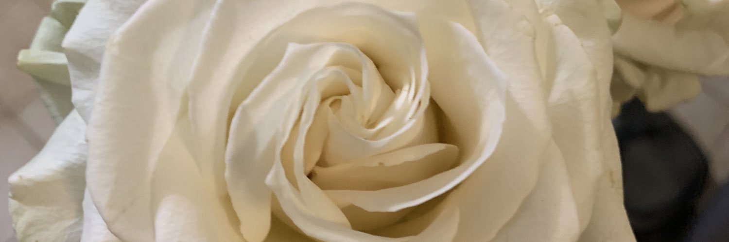 Michaud_Lisaa's profile banner image