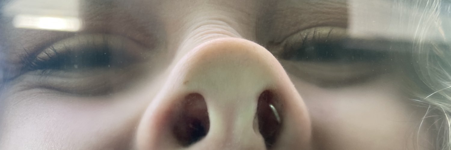 dmhart00's profile banner image