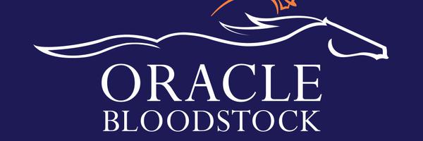 Oracle Bloodstock Profile Banner