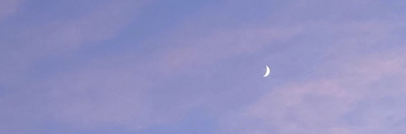 mafearoj's profile banner image