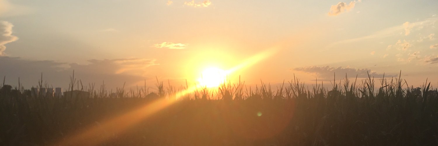 amberremanuel's profile banner image