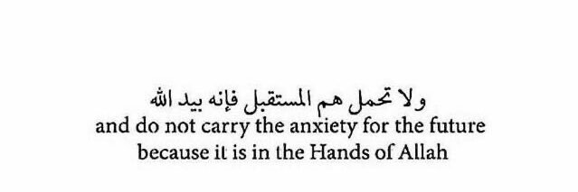 zmig🍋💐🇵🇸 banner