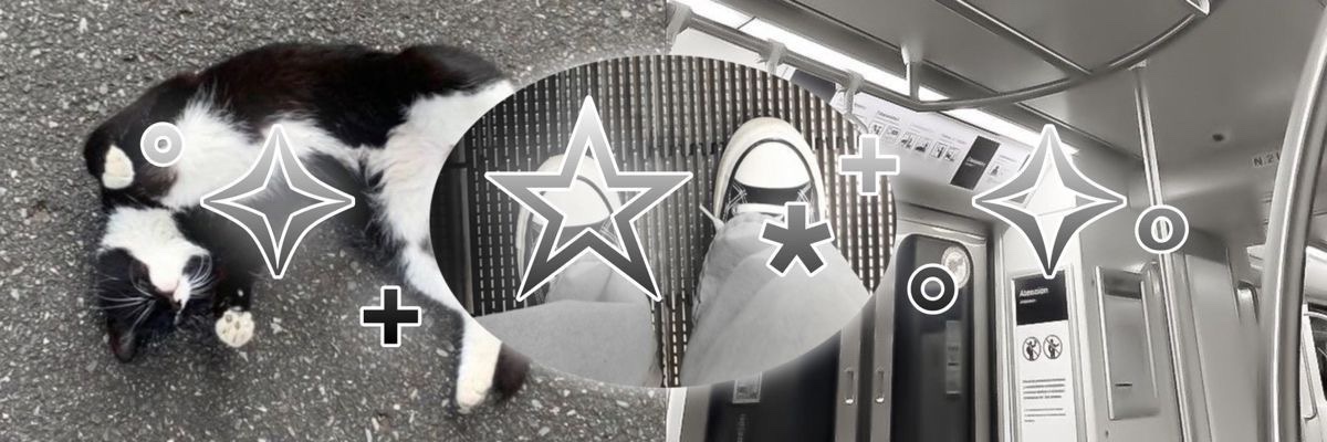 flortds's profile banner image