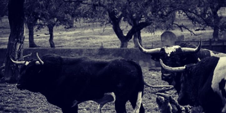 SergioSsala's profile banner image