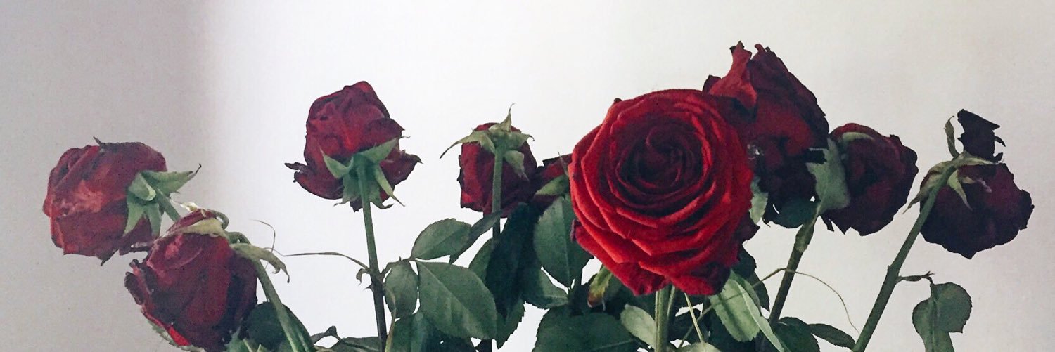 Francesca Boni banner