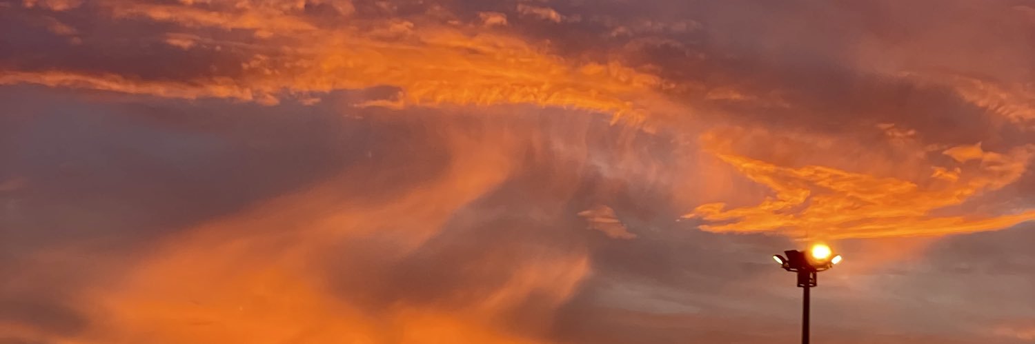 wolfnarhee's profile banner image