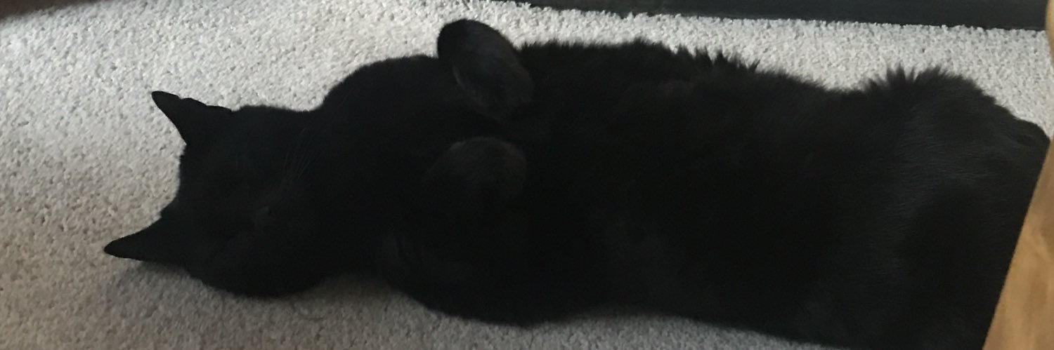 stevefjames1's profile banner image