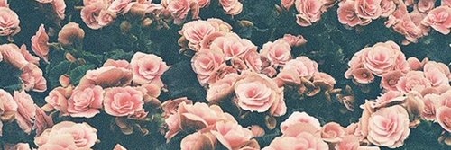 jsbarcelos__'s profile banner image