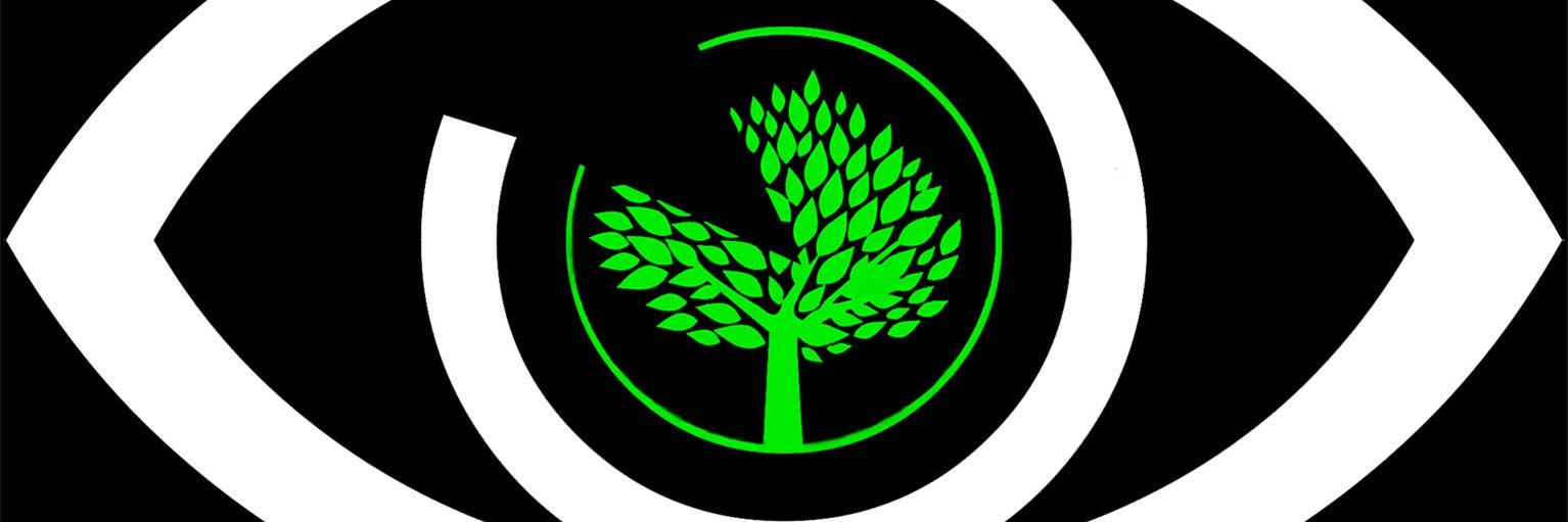 ForrestVision's profile banner image